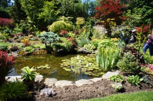 This amazing private garden is so much more than a back yard!