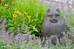 What more could you want: A cat statue, Rudbekia, and Walker's Low Catmint in the entrance garden.