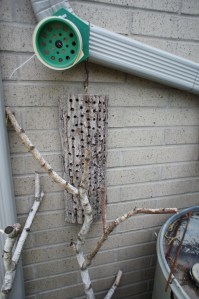 Two native bee "hotels" at one of the private gardens we toured in Toronto.