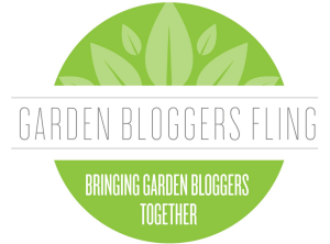 Screen Shot 2015-11-02 at 6.41.10 PM