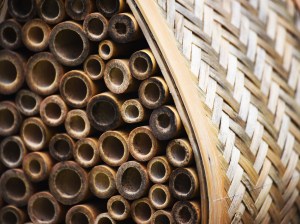 Unoccupied bee abode waiting for tenants.