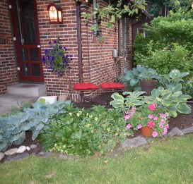 Here is another space that was altered last fall. I pulled out a bridal veil spirea and am enjoying the opening it left. The hellebores are still hanging onto their blooms which have dried and provide a nice effect. 