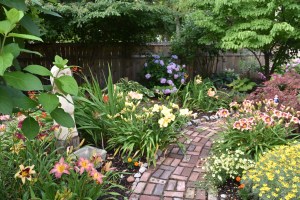 Purple Coneflowers in the Secret Garden.  The white in the distance is Fragrant Angel.  I do not recall what the purple ones are.  That is Grosso Lavende behind the purple coneflowers.